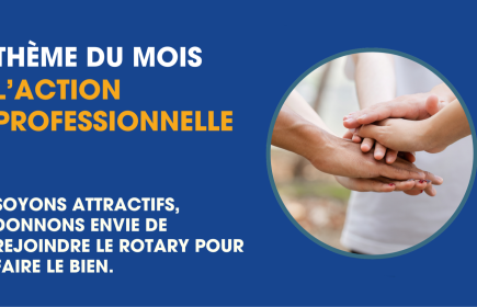 Thème du mois de janvier : l'action professionnelle